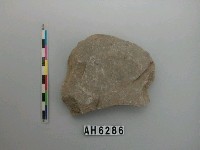 藏品(磨製石器)的圖片